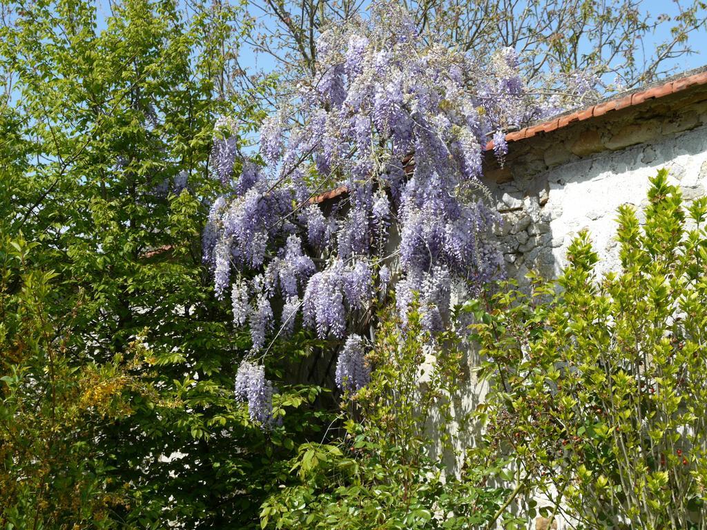 Gites De La Grande Ferme Avernes Quarto foto